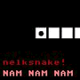 NelkSnake spielen